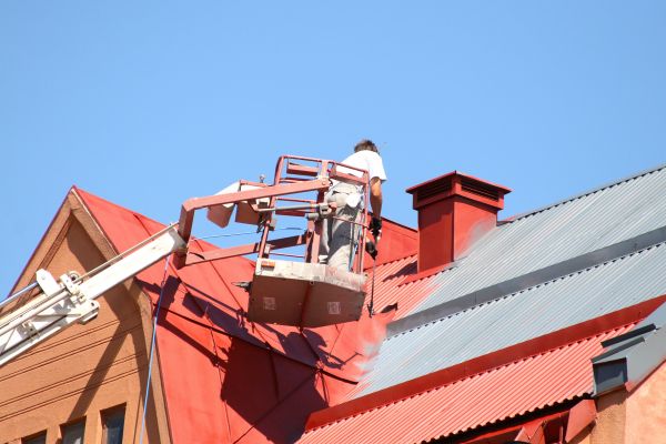 Professional Roof Painting Service